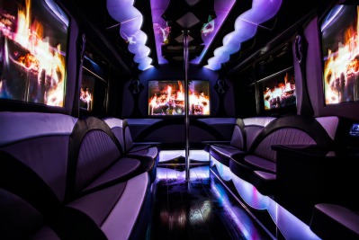 Huge party bus rentals